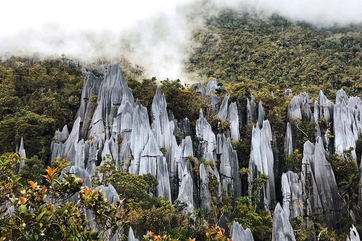 Gunung Mulu National Park - UNESCO